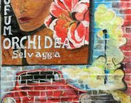 Murales / Murals