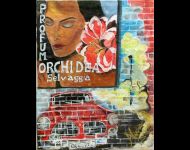 Murales / Murals