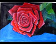 Rosa rossa su blu / Red rose on blue