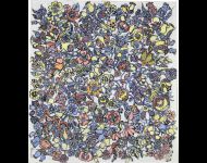 Fiori / Flowers