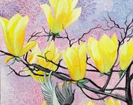 Magnolia gialla / Yellow magnolia