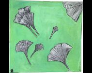 Ginkgo