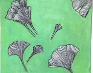 Ginkgo