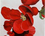 Gigante rosso / Red giant