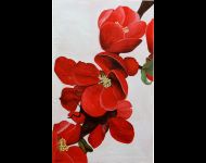 Gigante rosso / Red giant