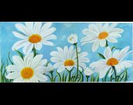 Margherite in prato / Daisies in the field
